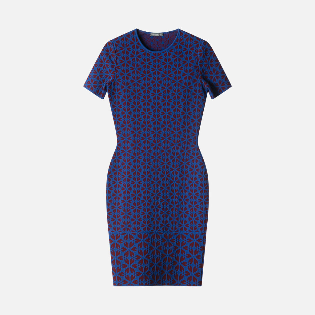 Alexander McQueen Blue & Burgundy Viscose & Poly Dress