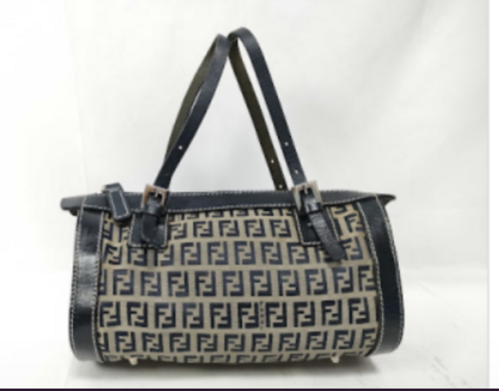 AS IS Gray Canvas Zucca Rolling Boston Bag