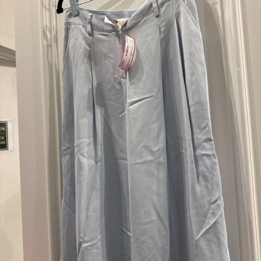 Light Blue Trouser Pant