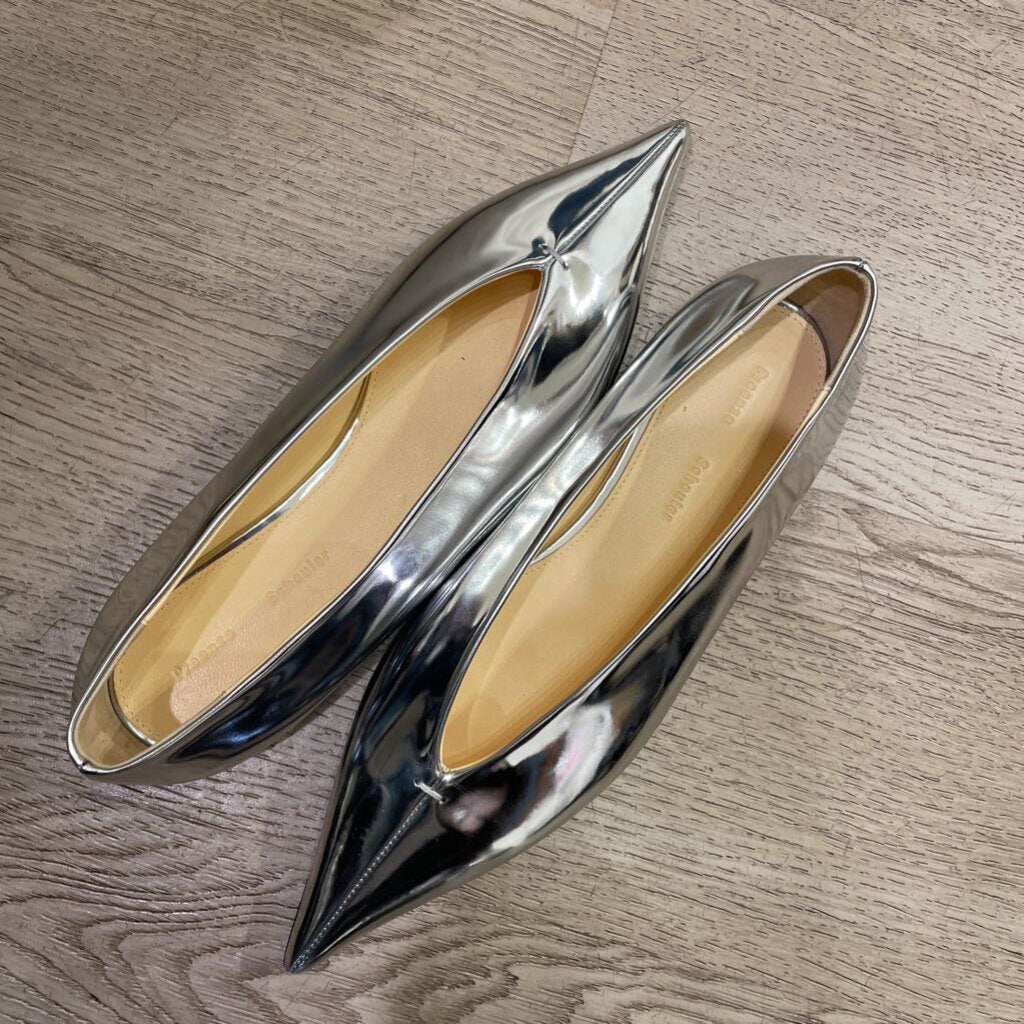 Metallic Pointy Toe Flats (est 800)