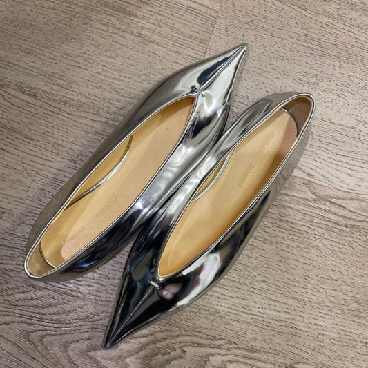 Metallic Pointy Toe Flats (est 800)