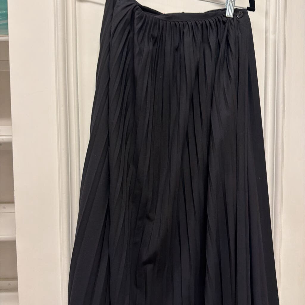Black Poly Blend Pleated Maxi Skirt