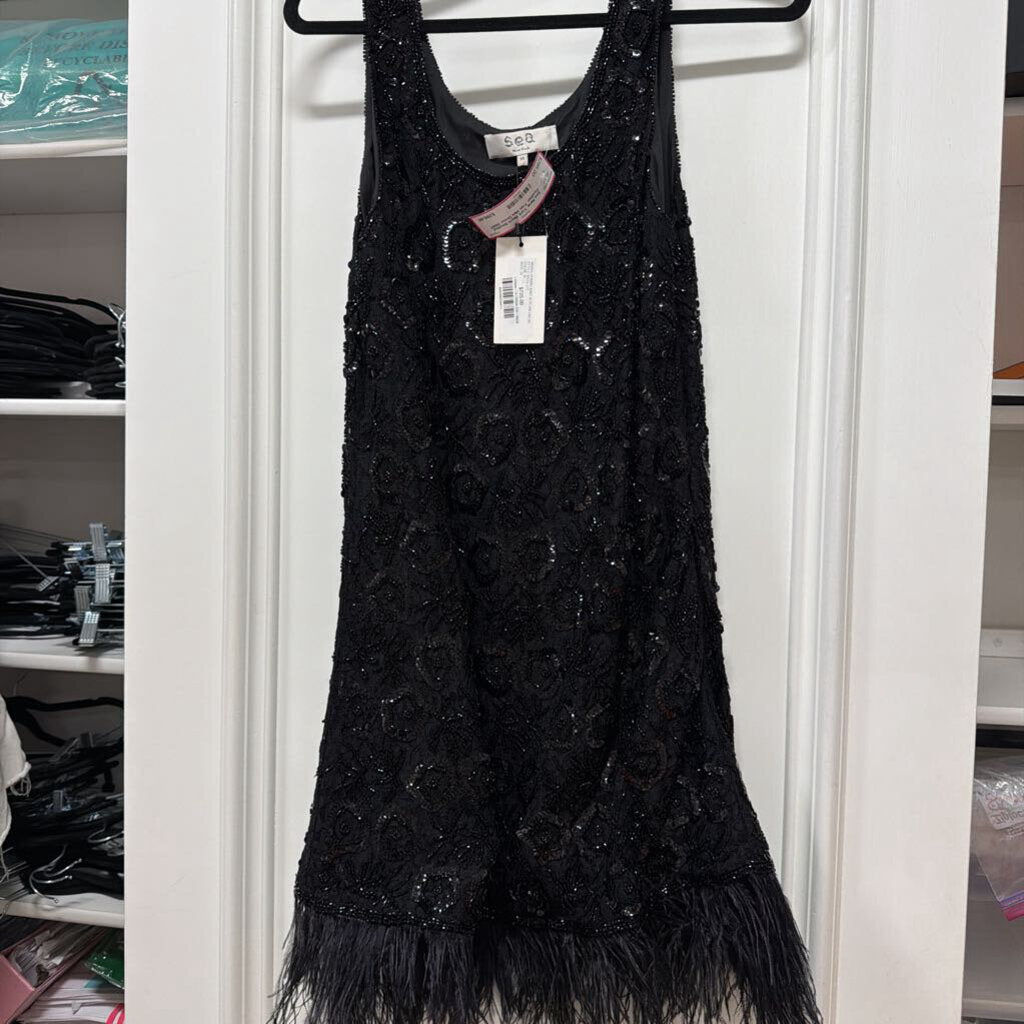 Black Beaded Feather Trim Mini Dress (NWT 725)