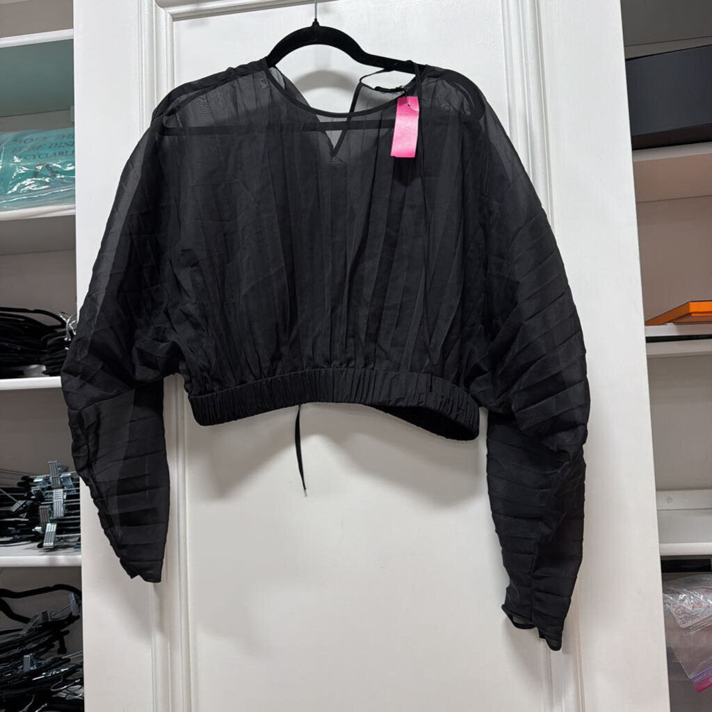 Black Sheer Pleated Top