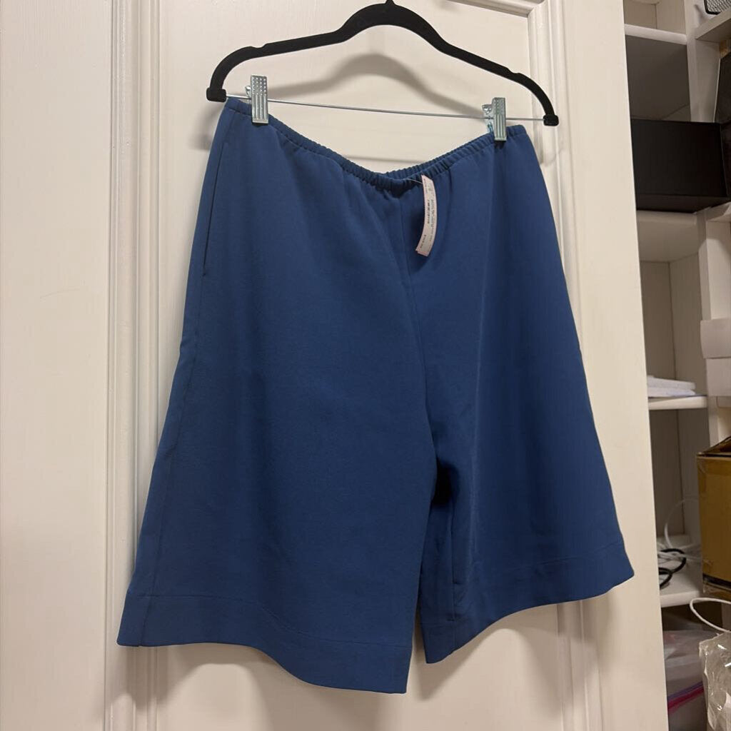 Blue Triacetate City Shorts (R. 260)