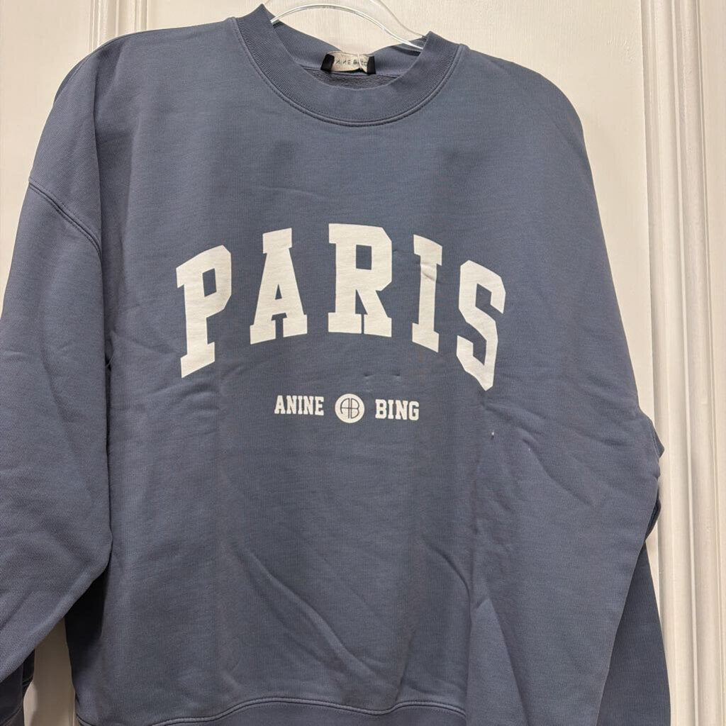 Pale Blue Logo Sweatshirt (NWT)