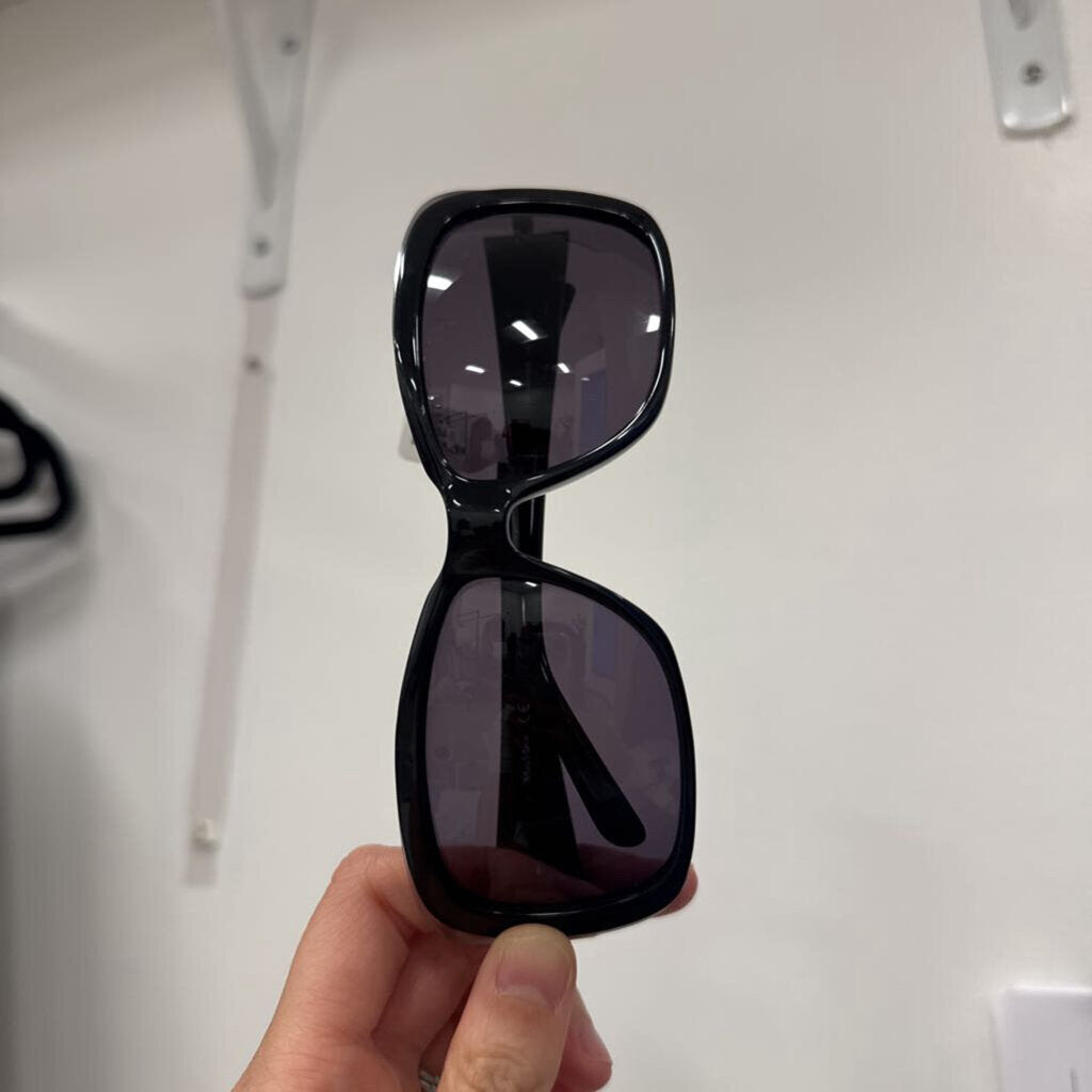 Black Silver Trim Sunglasses