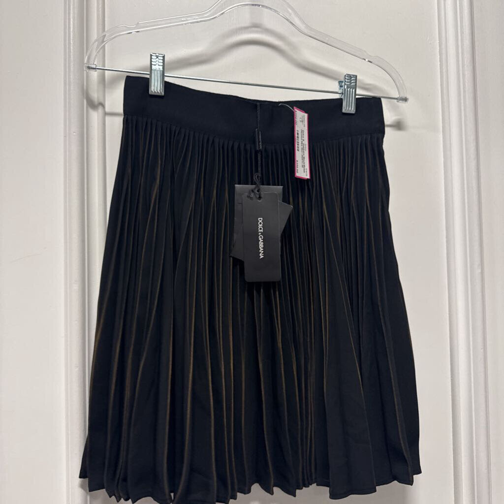 Black/Beige Pleated Mini Skirt (NWT)
