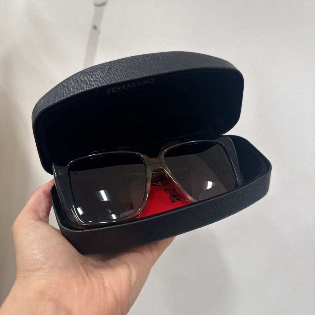 Brown Oversized Sunglasses w/ Case