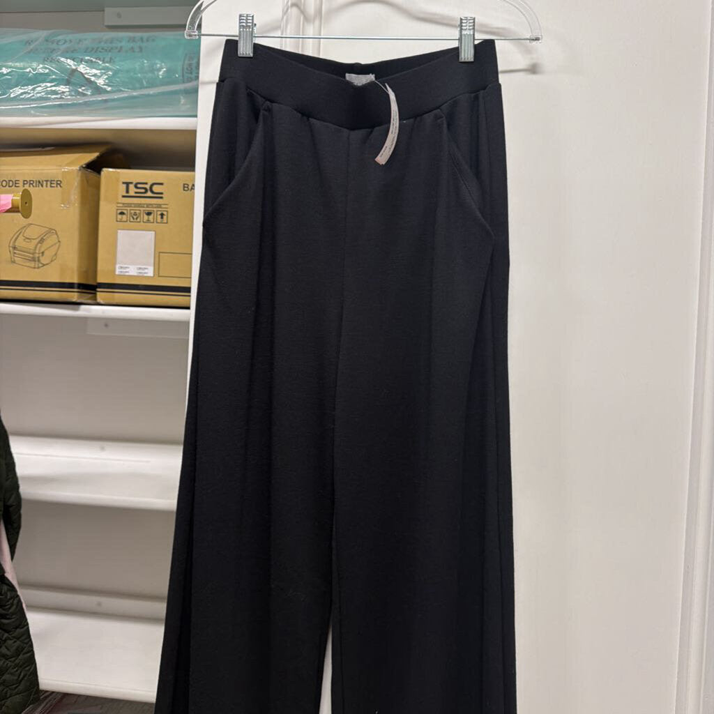 Black Poly/Rayon Wide-Leg Pants (NWT)