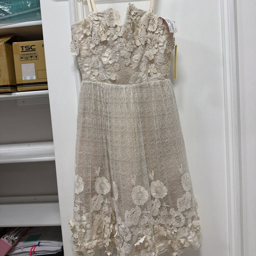 Cream Cotton/Nylon Lace Floral Applique Mini Dress (NWT $698)