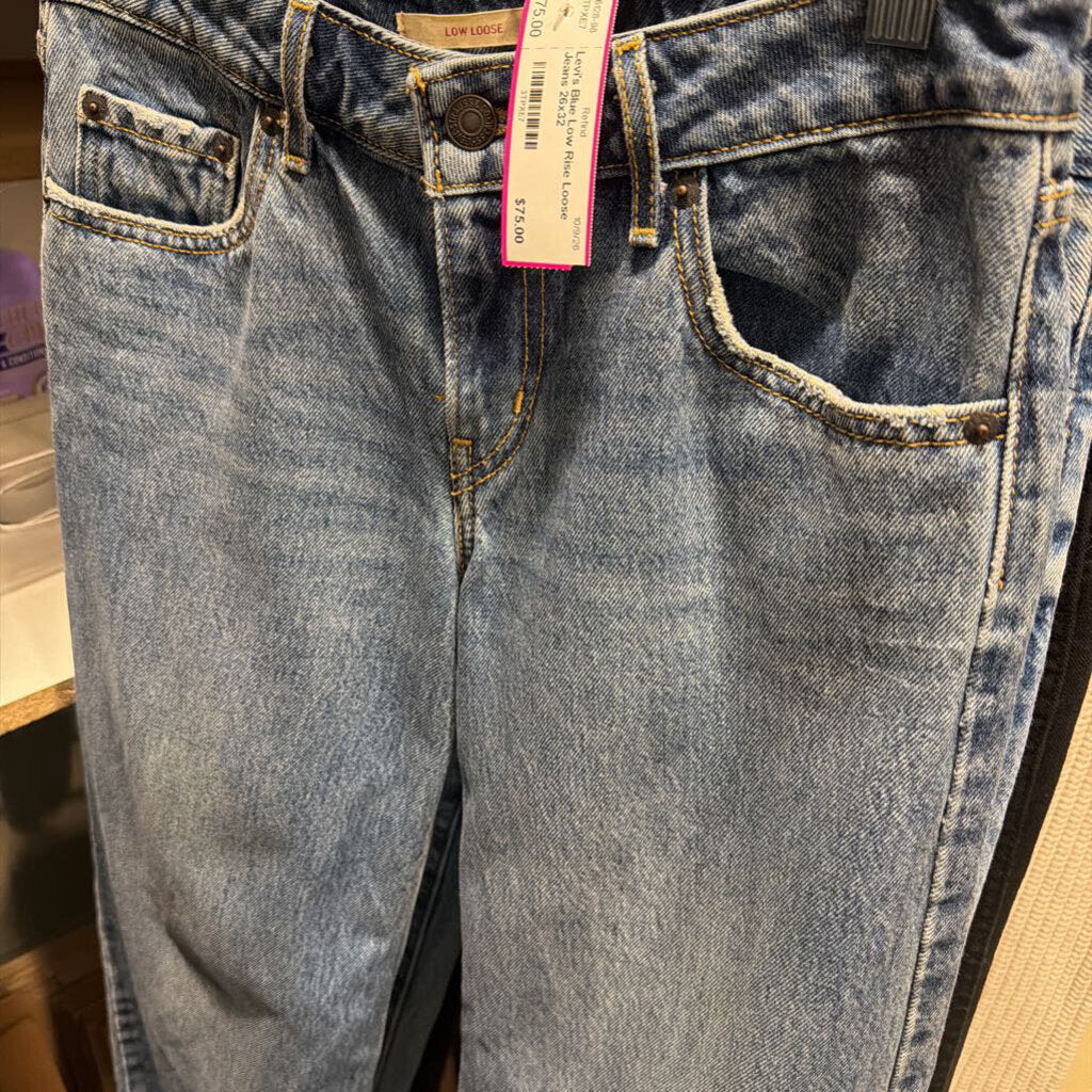 Blue Low Rise Loose Jeans