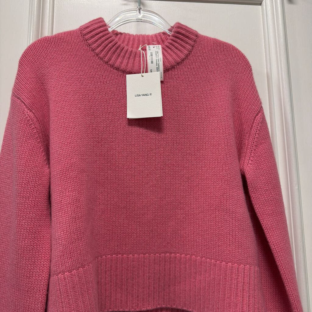 Pink Cashmere Crewneck Sweater (NWT est 850)