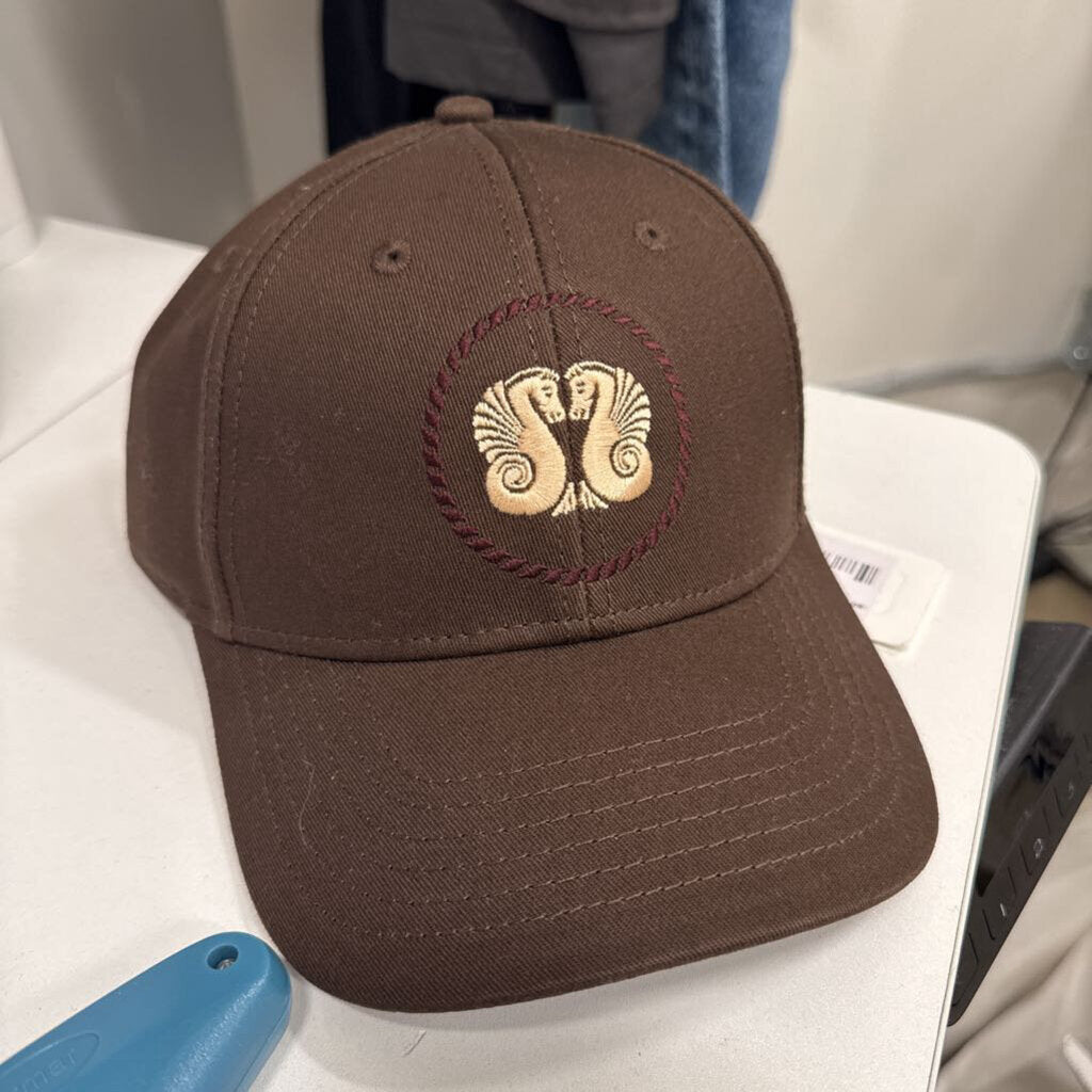 Brown Baseball Hat (NWT)